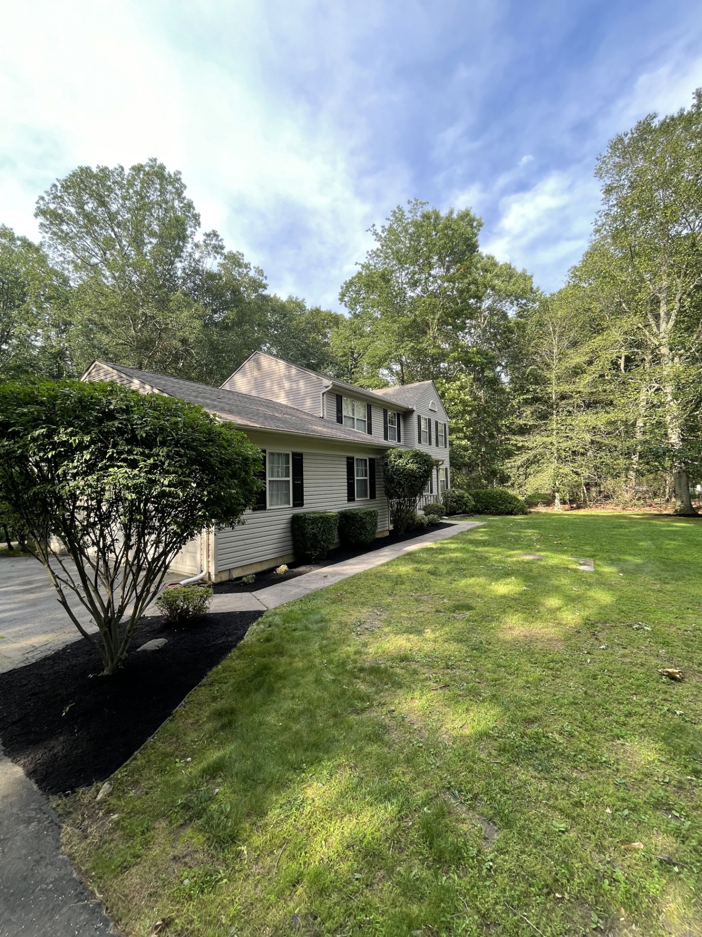 Mulching 1 — 2nd angle after