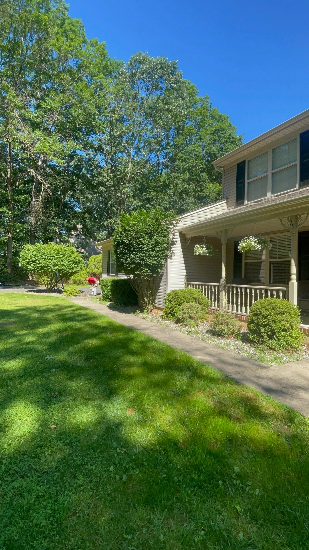 Mulching 1 — slant before