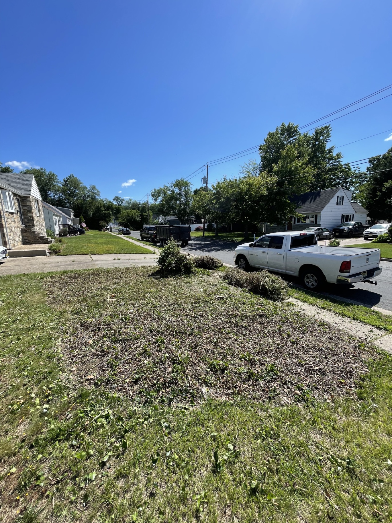 Grass seeding — before angle 2