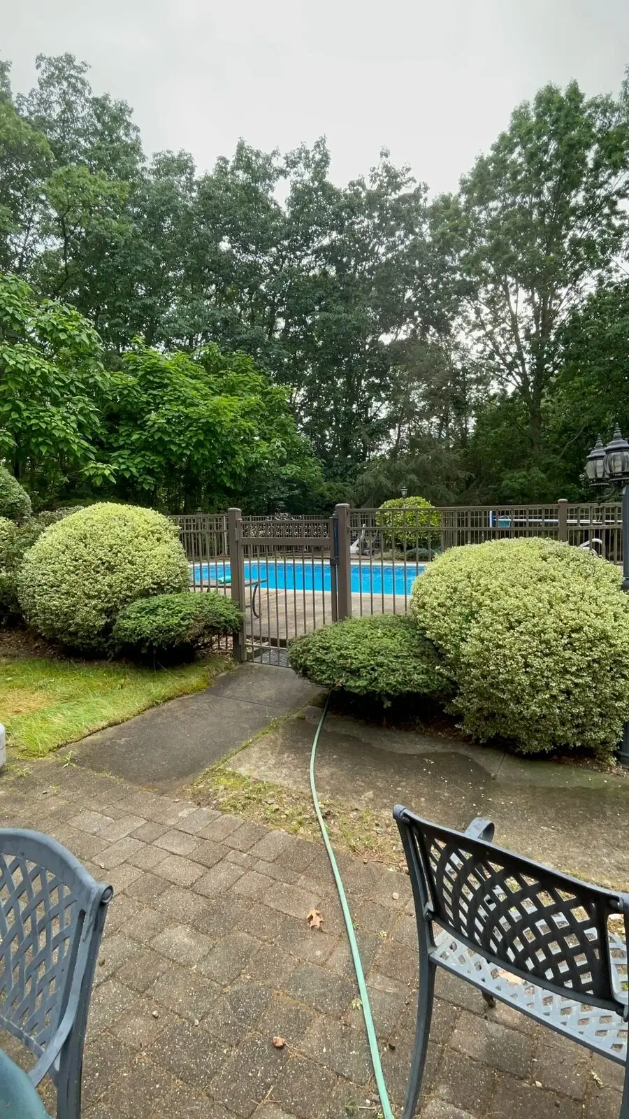 Trimmed bushes and cleared tree line after tree care