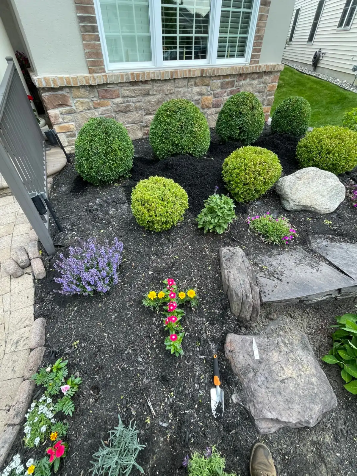 Row of shaped bushes along a building front