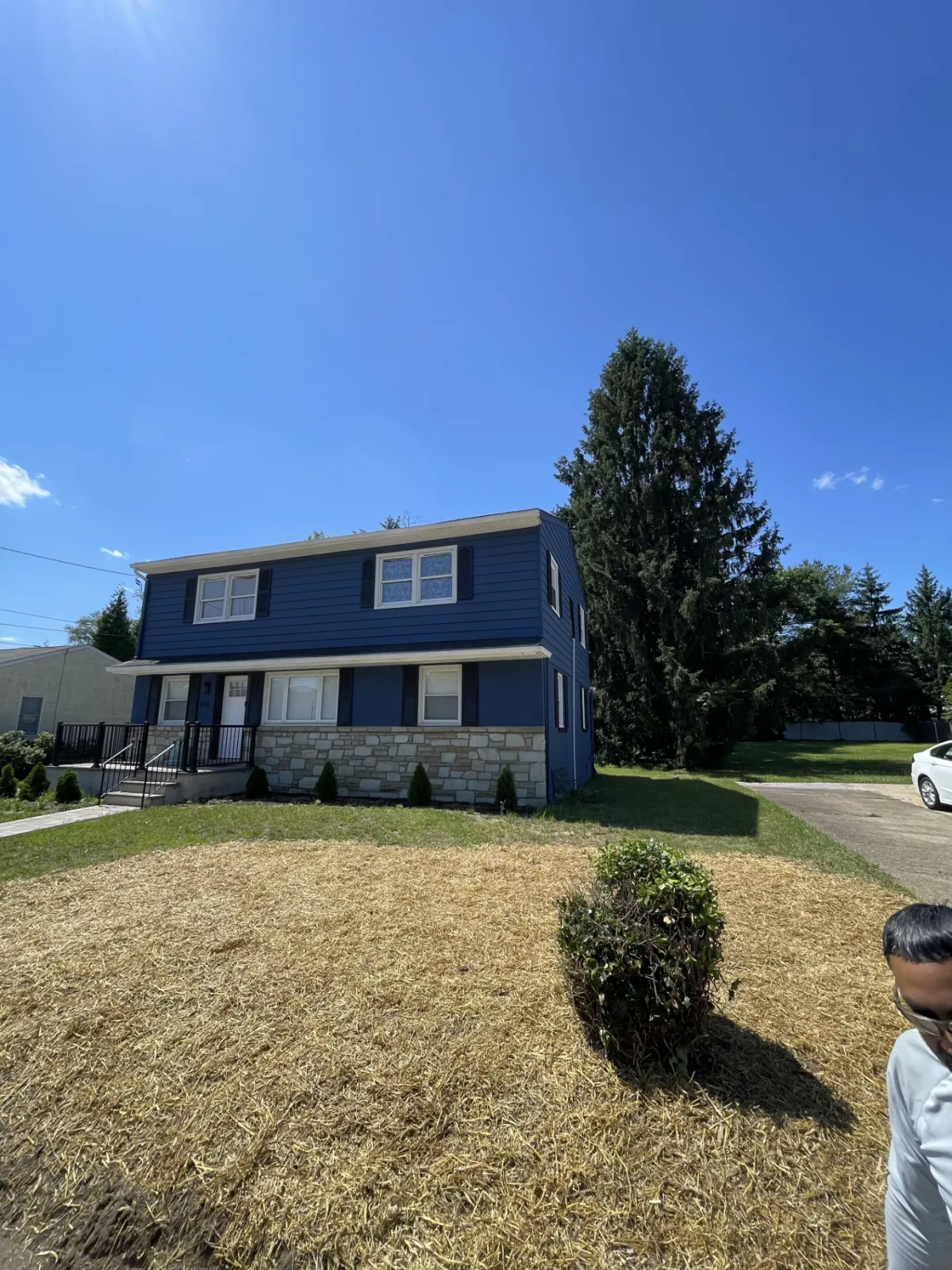 Finished lawn after grass seeding