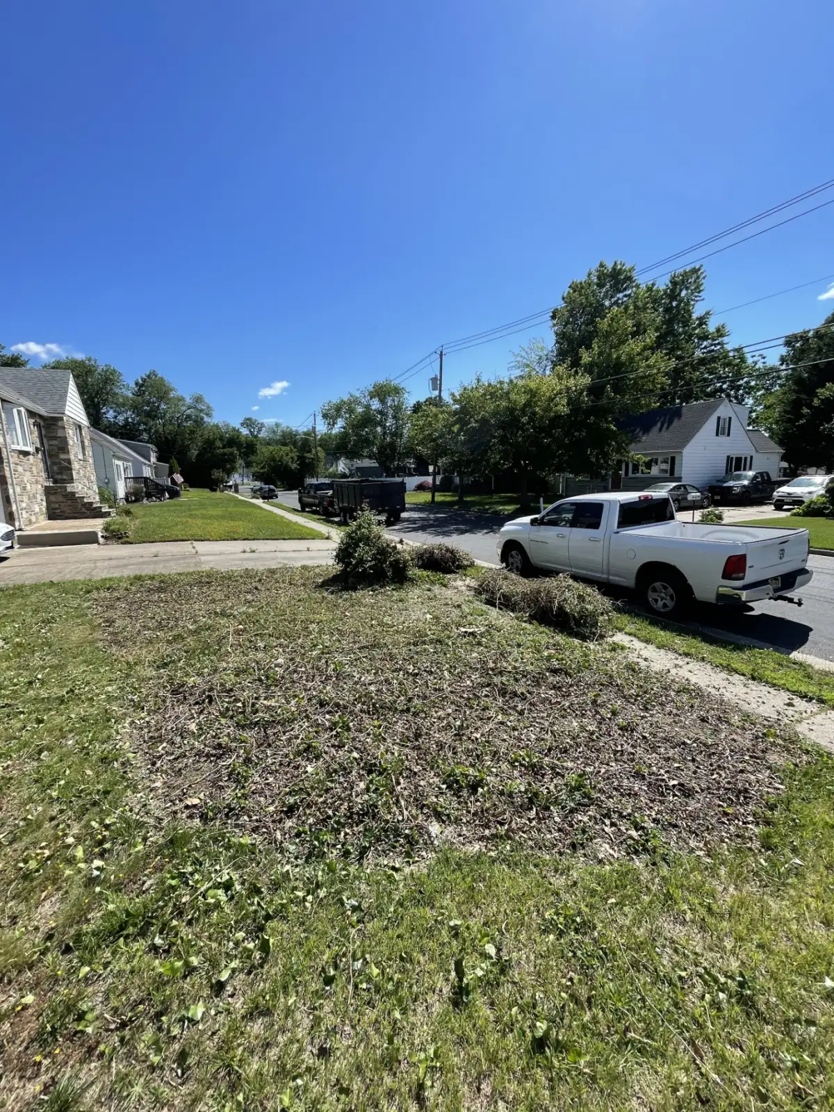 Bare lawn before grass seeding, angle two