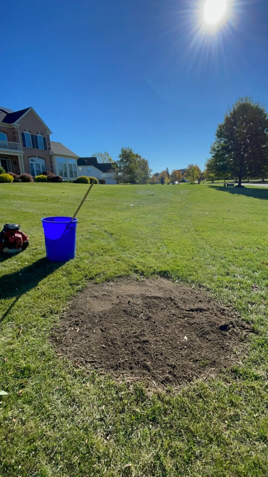 Ground down stump cleared to grade, job two